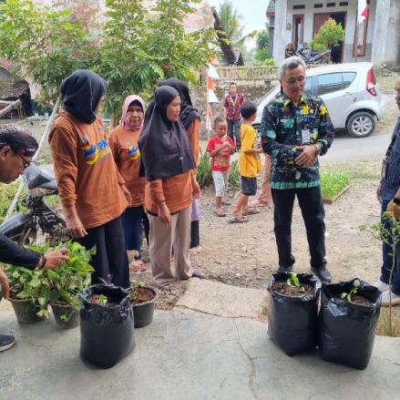 Harga Tidak Stabil, Warga Desa Dapat Bantuan 1.500 Bibit Cabai Dari PNM