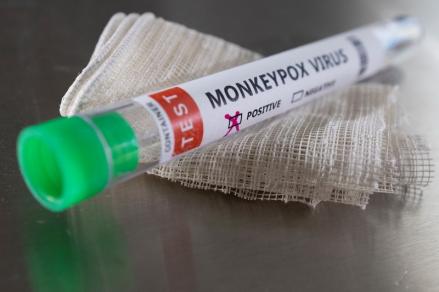 Indonesia akan membuka peluang kerja sama dengan Jepang dalam rangka pembelian vaksin monkeypox atau cacar monyet. (MNC Media)