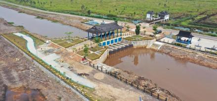 Mentan Turun Gunung Mau Sulap Lahan Gambut Kalteng Jadi Sawah (foto dok bsip pertanian)