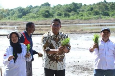 Wamentan Sebut Pencabutan Aturan Ini Bisa Buat Petani Sejahtera. (Foto: MNC Media)