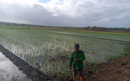 Kementan sedang mengkaji kawasan Pulau Nusakambangan, Jawa Tengah, untuk disulap menjadi lokasi food estate.