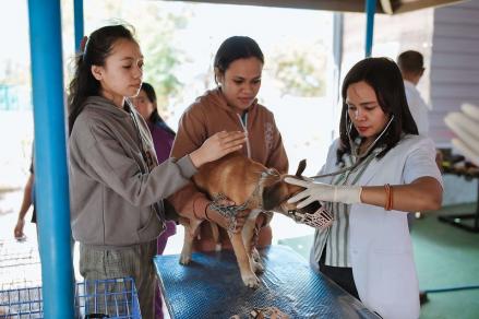 Indonesia and Australia Cooperate to Contain Rabies Outbreaks. (Foto: Australian Embassy Jakarta)