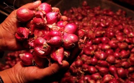 Intip Harga Pangan Hari Ini, Bawang Merah Naik Jadi Rp62 Ribu per Kg (FOTO:iNews Media Group)