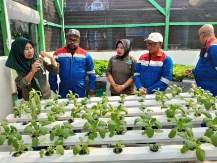 Rawabening, Cara Kilang Pertamina ‘Hijaukan’ Perkampungan Padat Penduduk di Pesisir Balikpapan (foto: MNC media)