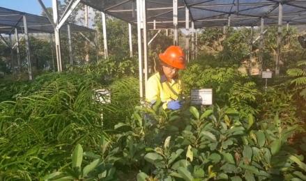Anak Usaha Merdeka Copper (MDKA) Ungkap Sederet Upaya Terapkan Good Mining Practice. Foto: MNC Media.