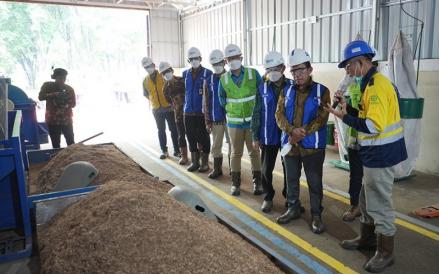 PTBA Operasikan Pabrik Wood Pellet, Dipakai untuk Campuran Batu Bara PLTU