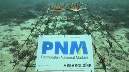 PNM Gandeng Pemuda untuk Konservasi Terumbu Karang di Ambon. Foto: dok. PNM.