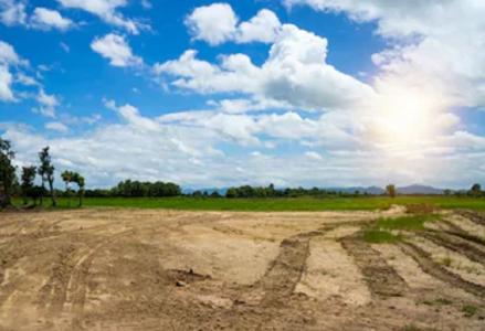 Pemerintah Pastikan Program Transmigrasi Era Prabowo Berbeda dengan Soeharto. (Foto: MNC Media)