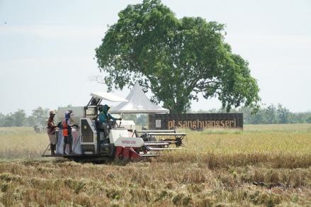 481 Ribu Hektare Lahan Bakal Dibuka untuk Ekosistem Swasembada Pangan