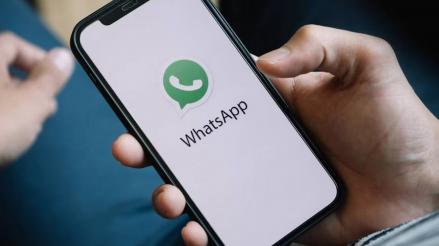 3 Cara Centang 1 di WA Biasa tapi Online, Coba Lakukan Tips Ini. (Foto: WhatsApp)