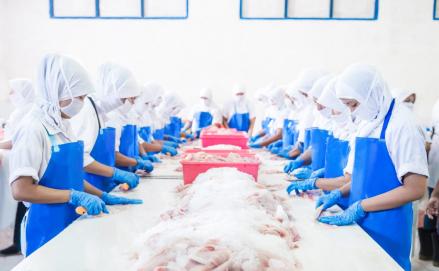 Dukung Budidaya Udang Produktif dan Berkelanjutan, Begini Strategi Central Proteina (CPRO) (foto: MNC Media)