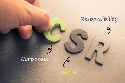 Pahami Contoh, Jenis, dan Tujuan dari Apa itu CSR. (Foto: Apa itu CSR)