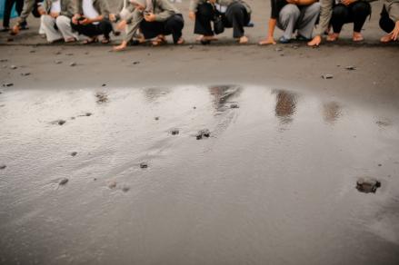 Peruri Dukung Pelestarian dan Ekosistem Laut (FOTO:Dok Ist)