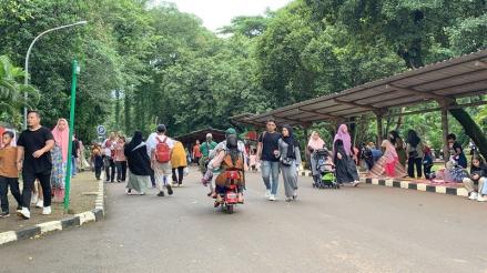 42 Ribu Pengunjung Sambangi Ragunan di Penghujung Libur Panjang Iduladha 2025. (Foto: Inews Media Group)