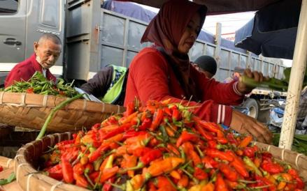 Update Harga Pangan Awal Pekan: Beras, Cabai, hingga Daging Turun