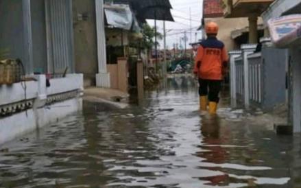 Banjir rob menerjang Kabupaten Tegal, Provinsi Jawa Tengah. (MNC Media)