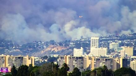 Kebakaran hutan yang baru saja munucul di Los Angeles California semakin meluas mencapai 9.200 hektare. (foto: MNC Media)