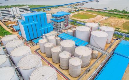 PT Paramita Bangun Sarana Tbk (PBSA) berencana melakukan diversifikasi proyek di luar industri sawit atau crude palm oil (CPO). (Foto: Dok. PBSA)