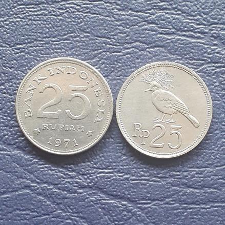 Punya Uang Koin 25 Rupiah Tahun 1971? Bisa Laku Segini di E-Commerce. (Foto: Shopee)