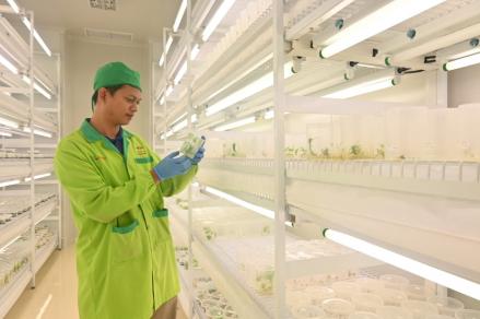 East West Seed (Ewindo) Perkuat Riset Hadapi Tantangan Industri Hortikultura (FOTO:Dok Ist)