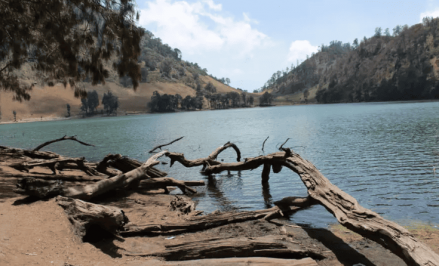 5 Tempat Wisata di Tulungagung yang Lagi Hits, Cocok untuk Liburan Sekeluarga. (Foto: Traveloka)
