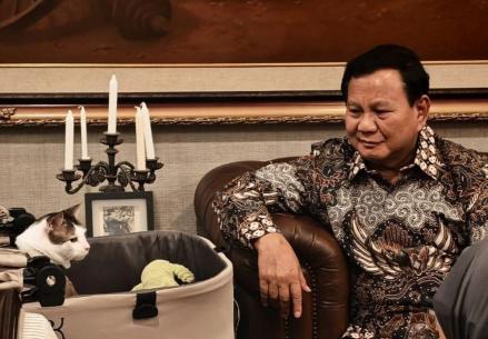 4 Pemimpin Negara yang Mempunyai Kucing, Lucu dan Menggemaskan. (Foto: iNews Media Group)