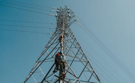 PLN Berencana Pangkas Separuh Anak Usaha, Tersisa 23 Entitas pada 2028