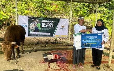 PNM menyalurkan hewan kurban ke berbagai wilayah tertinggal, terdepan, dan terluar (3T). (Foto: Dok. PNM)
