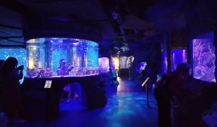 Ini Pilihan Tempat Wisata di Jakarta Barat yang Lagi Hits. (Foto: iNews Media Group)
