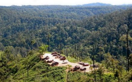 PT Integra Indocabinet Tbk (WOOD) terus memperkuat segmen kredit karbon untuk menambah pendapatan perseroan. (Foto: Dok. Narkata Rimba)