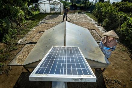 Berkomitmen Sebagai World-Class Sustainable Banking Group, BRI Perkuat Kontribusi terhadap SDGs. Foto: BRI.