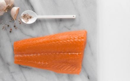 Mitsubishi mengumumkan akuisisi terhadap unit usaha Norwegian Grieg Seafood ASA senilai 10,2 miliar krona atau setara Rp16 triliun. (Foto: Dok. Mitsubishi)