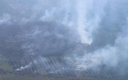 16 orang telah ditetapkan sebagai tersangka dalam kasus dugaan pembakaran hutan dan lahan di Riau. (BNPB)