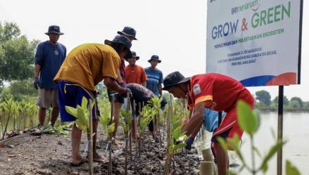 BRI (BBRI) Komitmen Selamatkan Lingkungan Lewat Perbaikan Ekosistem Pesisir (FOTO:Dok BBRI)