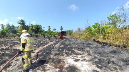 Modifikasi Cuaca Digelar di Riau, Sumbar, dan Kalbar untuk Percepat Penanganan Karhutla. (Foto Istimewa)