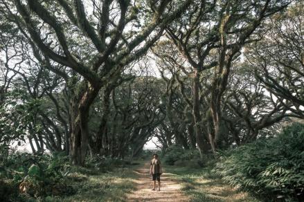 5 Objek Wisata Alam Banyuwangi yang Lagi Hits, Cocok buat Rehat dan Quality Time. (Foto: Wonderful Indonesia)