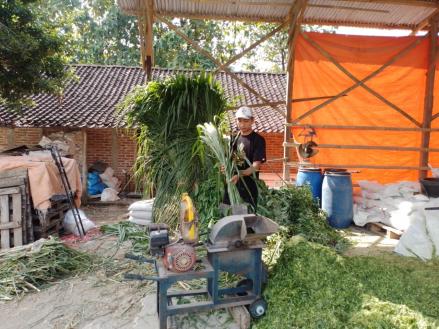 Pengusaha Pakan Ternak Ini Buktikan KUR BRI (BBRI) Bikin Usaha Berkembang (FOTO:Dok BRI)