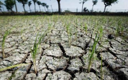 BMKG melaporkan sebanyak 48 persen Zona Musim (ZOM) di Indonesia telah memasuki musim kemarau hingga awal Agustus 2025. (Foto. iNews Media Group)