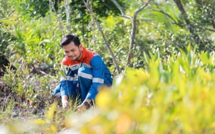 Lestarikan Ekosistem Pesisir, Pertamina Hadir dalam Pengembangan Kawasan Mangrove Kamal Muara. (Foto: Pertamina)