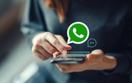 Perbedaan WA Bisnis dan Biasa, Mana yang Cocok untuk Anda?. (Foto: Perbedaan WA Bisnis dan Biasa)