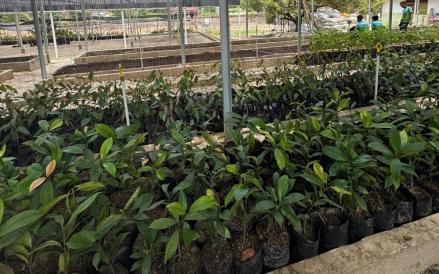 Polisi Bangun Bank Pohon untuk Rehabilitasi Lahan akibat Karhutla di Riau (Humas Polri)