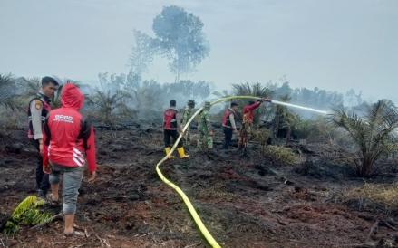 1.792 Hektare Lahan di Riau dan Aceh Terbakar Sepanjang Januari-Agustus 2025