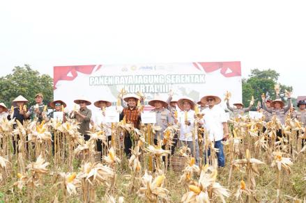 Polisi melaksanakan Panen Raya Jagung Serentak Kuartal III Tahun 2025 di Riau.