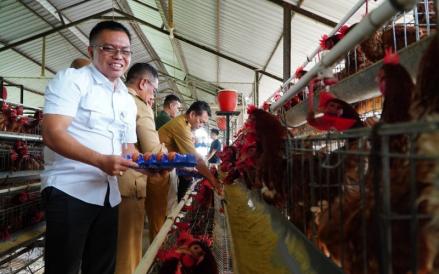 Pemerintah tengah menyiapkan strategi demi menstabilkan harga jagung untuk pakan ternak. (Foto: Dok. Bapanas)