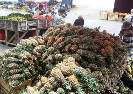 Manfaatkan KUR BRI (BBRI), Pedagang Nanas Ini Sukses Kembangkan Produk Olahan (FOTO:Dok BRI)