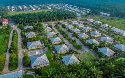 PT Cisadane Sawit Raya Tbk (CSRA) mencatat kinerja positif hingga September 2025 seiring kenaikan harga dan produksi sawit serta turunannya. (Foto: Dok. CSRA)