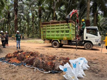 Bisnis Sawit Moncer, Astra Agro (AALI) Panen Laba Rp1,07 Triliun per September 2025. (Foto Dhera/IDX Channel)