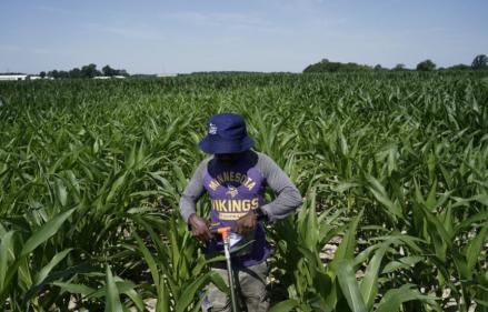 Penuhi Bahan Baku Industri, Indonesia Incar Komoditi Pertanian AS Senilai USD4,5 Miliar