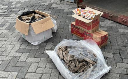 Bea Cukai Tanjung Priok menggagalkan upaya penyelundupan 3.053 kilogram sisik trenggiling senilai Rp183 miliar. (Foto: iNews Media/Tangguh Yudha)