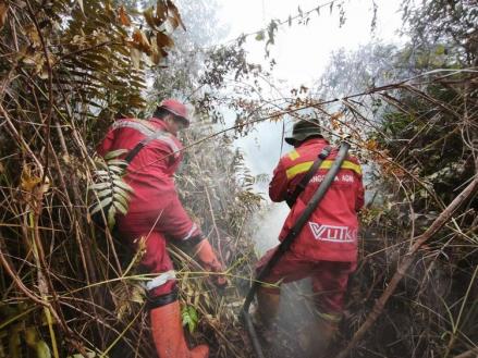 Kemenhut Perkuat Pengendalian Karhutla Jelang Idulfitri (FOTO:Dok Kemenhut)